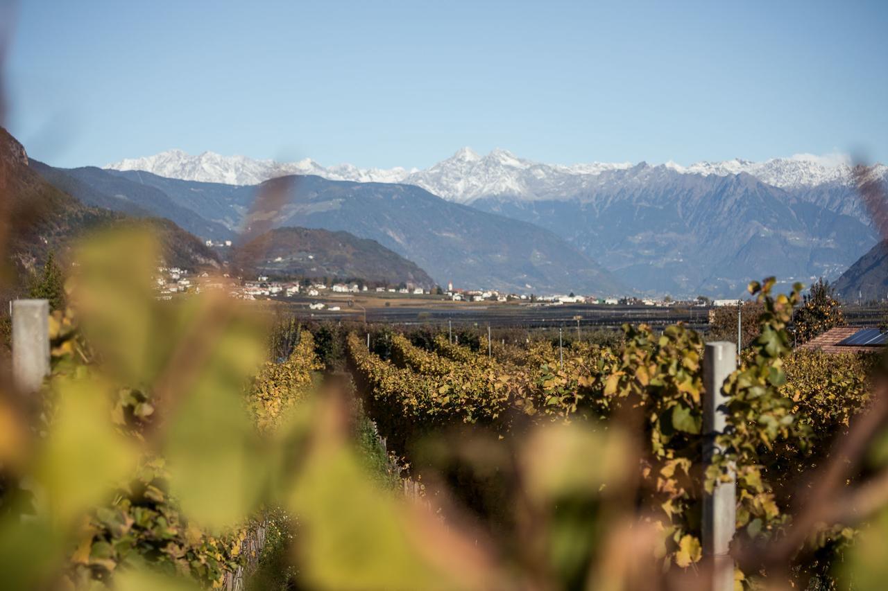 Weingut Dona Villa Eppan an der Weinstraße Buitenkant foto